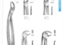 design dental instruments catalog for brand